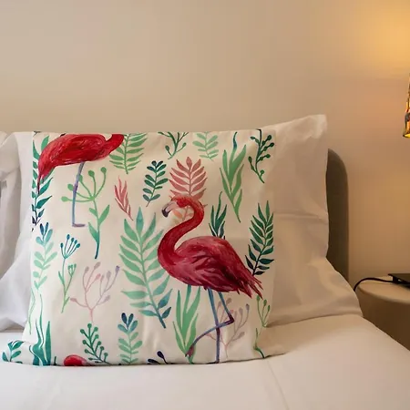 Great In Historical Center Appartamento